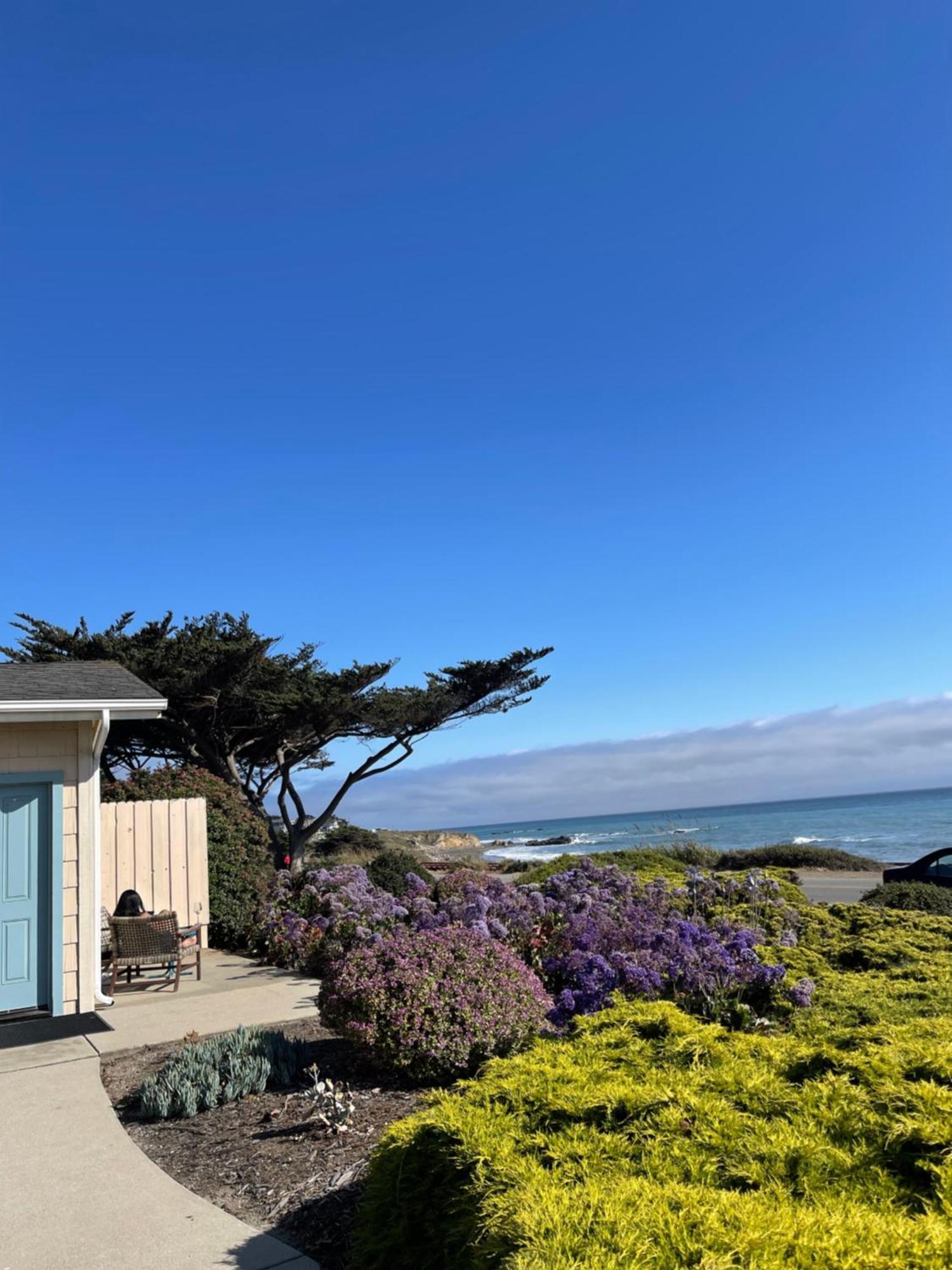 Cambria Landing Inn And Suites Buitenkant foto